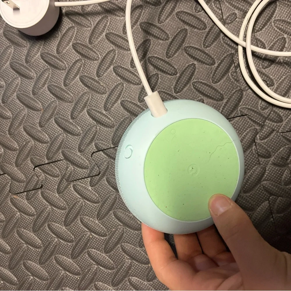 I got all new Alexa’s for Christmas that aren’t compatible with the google.